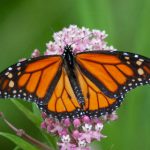 如何顺利完成宝运莱注册,获取更多游戏福利 c888xcn