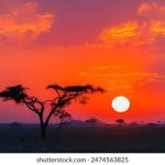 如何顺利完成盛兴集团app下载,开启财富增值之旅 k135wks50n