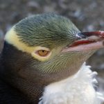 如何顺利完成冠亚体育注册,享受精彩体育赛事体验 o3syf2hv