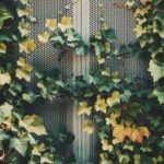 实时更新:大赢家即时比分直播助你掌握比赛动态 s32mvx0